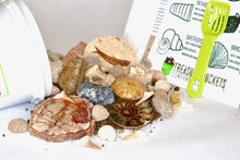 Load image into Gallery viewer, Fossil Finds Fossil Hunting and Gem Mining Bucket Kit - Quart
