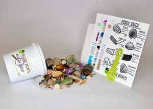 Mystery Bucket Kit - Quart (Gemstones, Fossils & More)